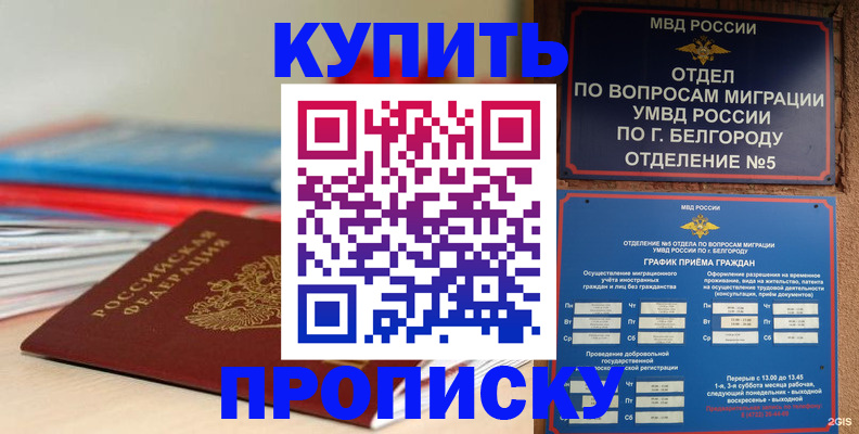 прописка для работы в Вышнем Волочке